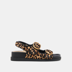 STARLA SANDALS LEOPARD BLACK CALF HAIR | Women Dolce Vita