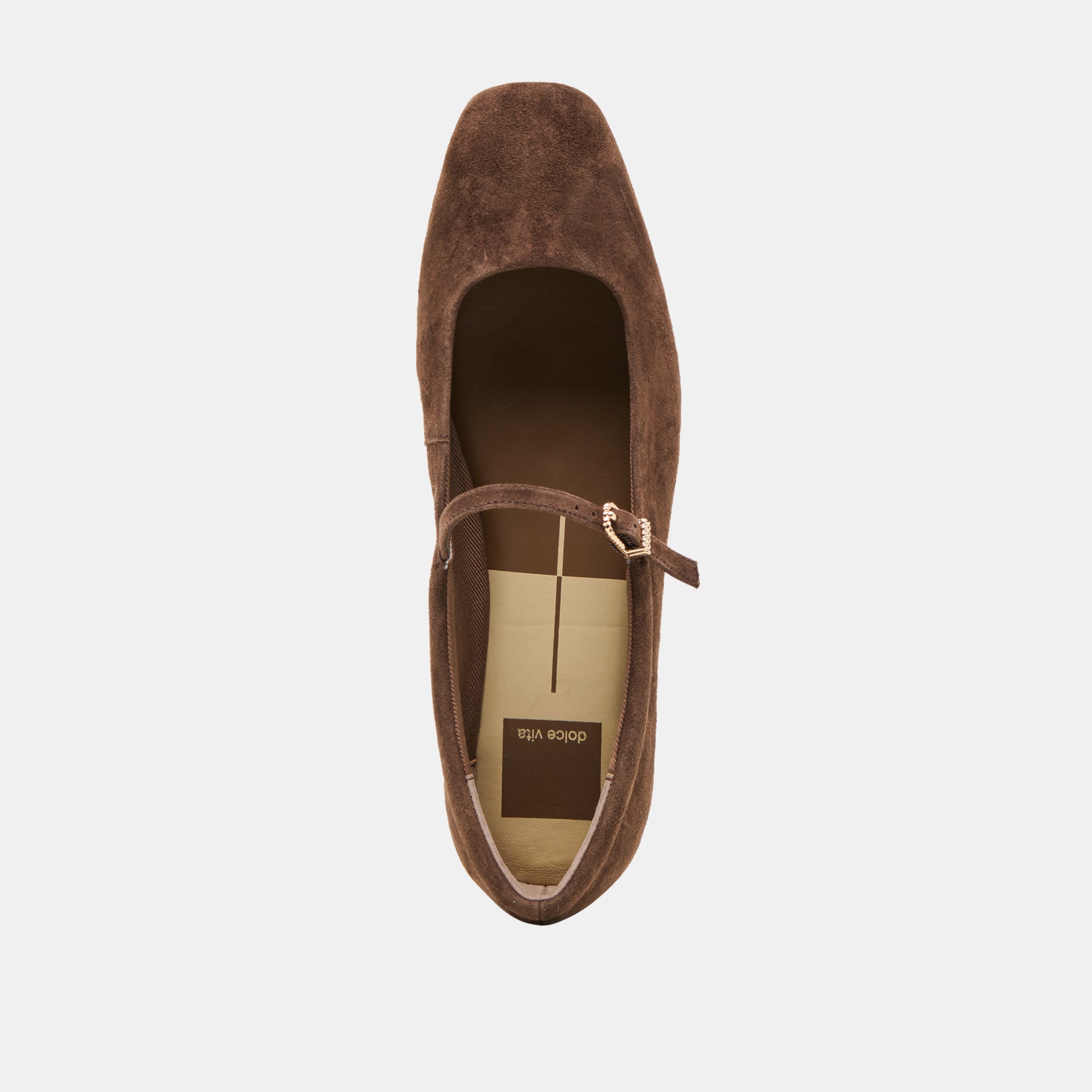 Reyes Dk Brown Suede Ballet Flats | Women Dolce Vita