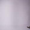 Gibsen Burgundy Velvet Ballet Flats | Women Dolce Vita