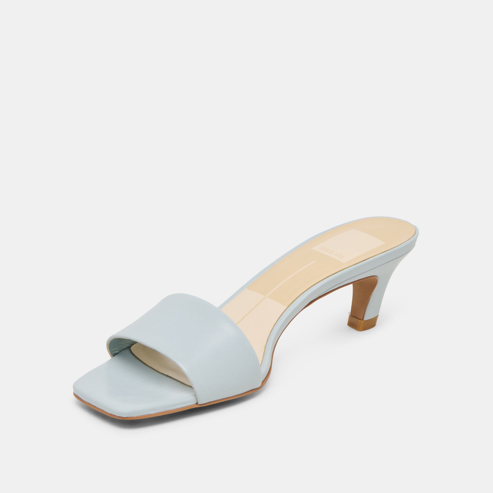 Rexa Ice Blue Leather Heels | Women Dolce Vita