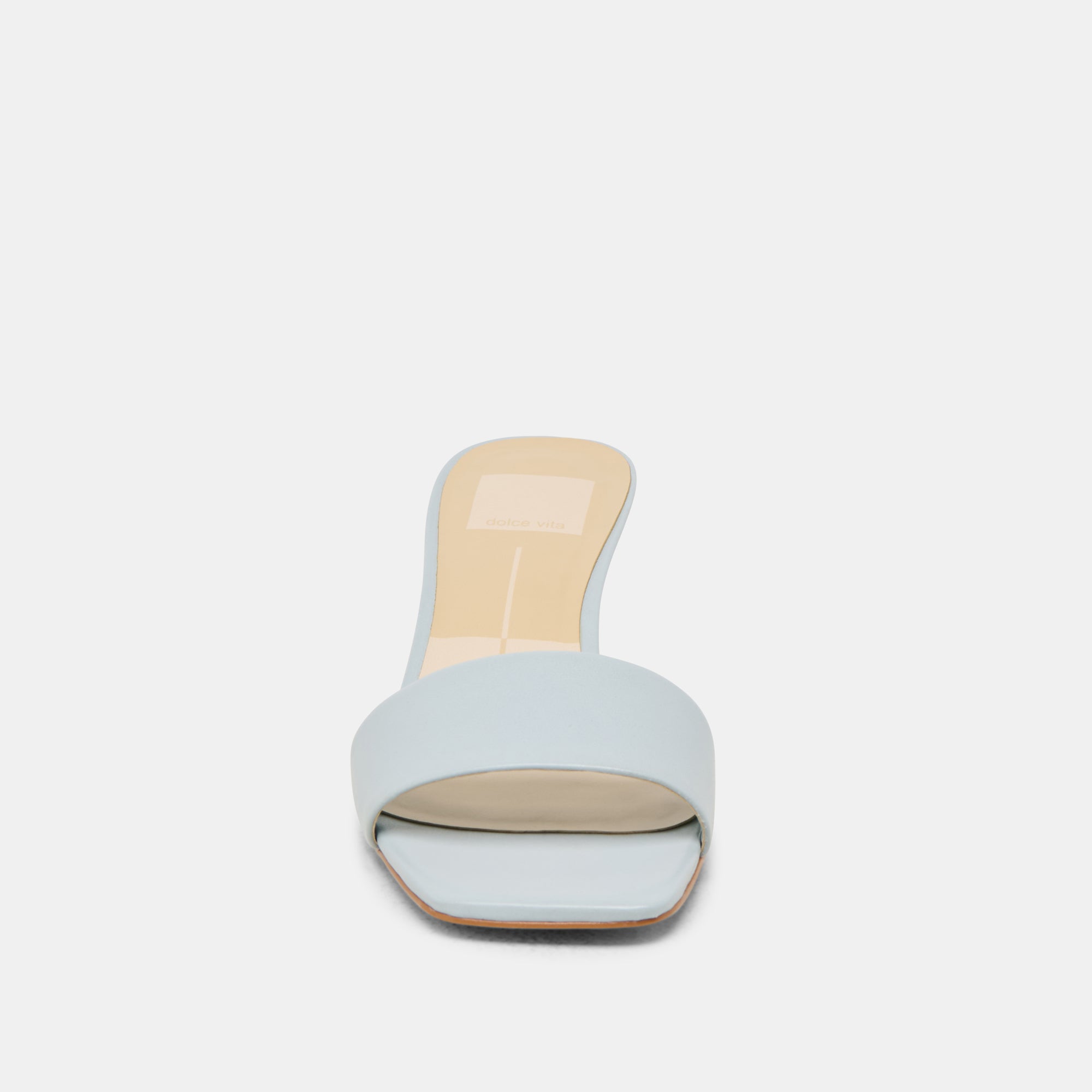 Rexa Ice Blue Leather Heels | Women Dolce Vita