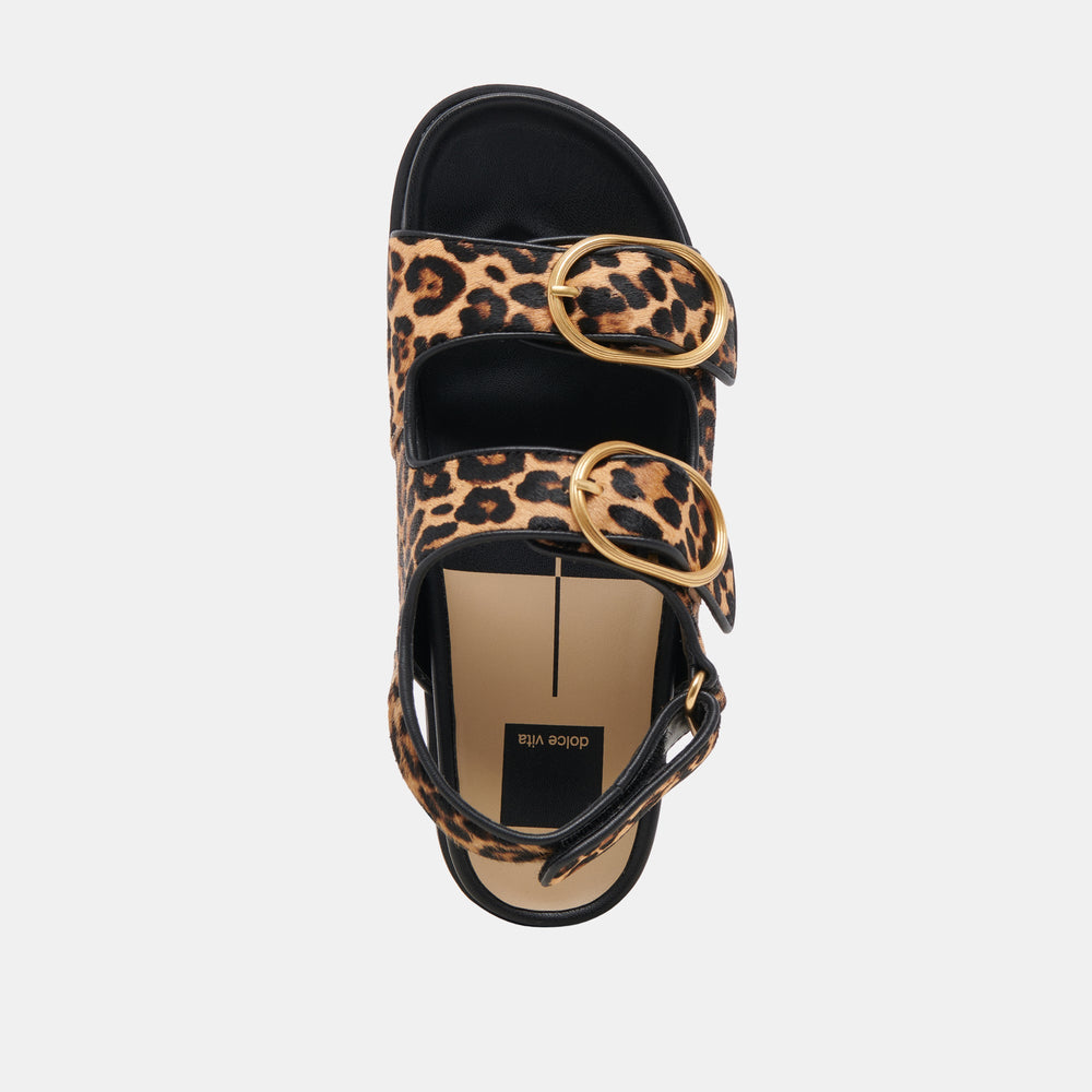 STARLA SANDALS LEOPARD BLACK CALF HAIR | Women Dolce Vita