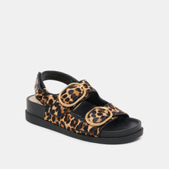 STARLA SANDALS LEOPARD BLACK CALF HAIR | Women Dolce Vita