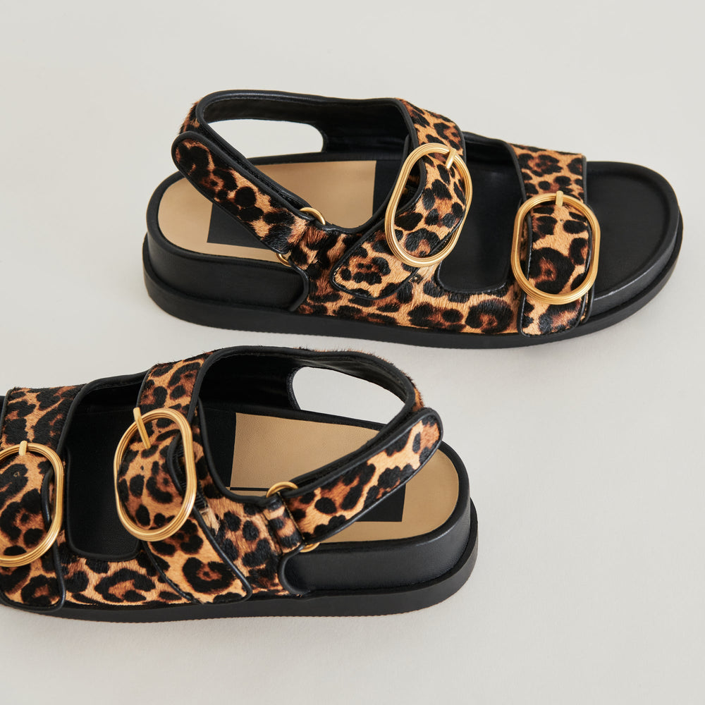 STARLA SANDALS LEOPARD BLACK CALF HAIR | Women Dolce Vita